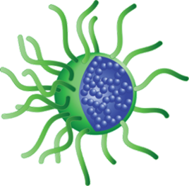 Hatton Polymer Group